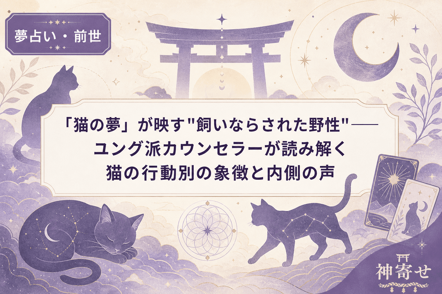「猫の夢」が映す"飼いならされた野性"──ユング派カウンセラーが読み解く猫の行動別の象徴と内側の声